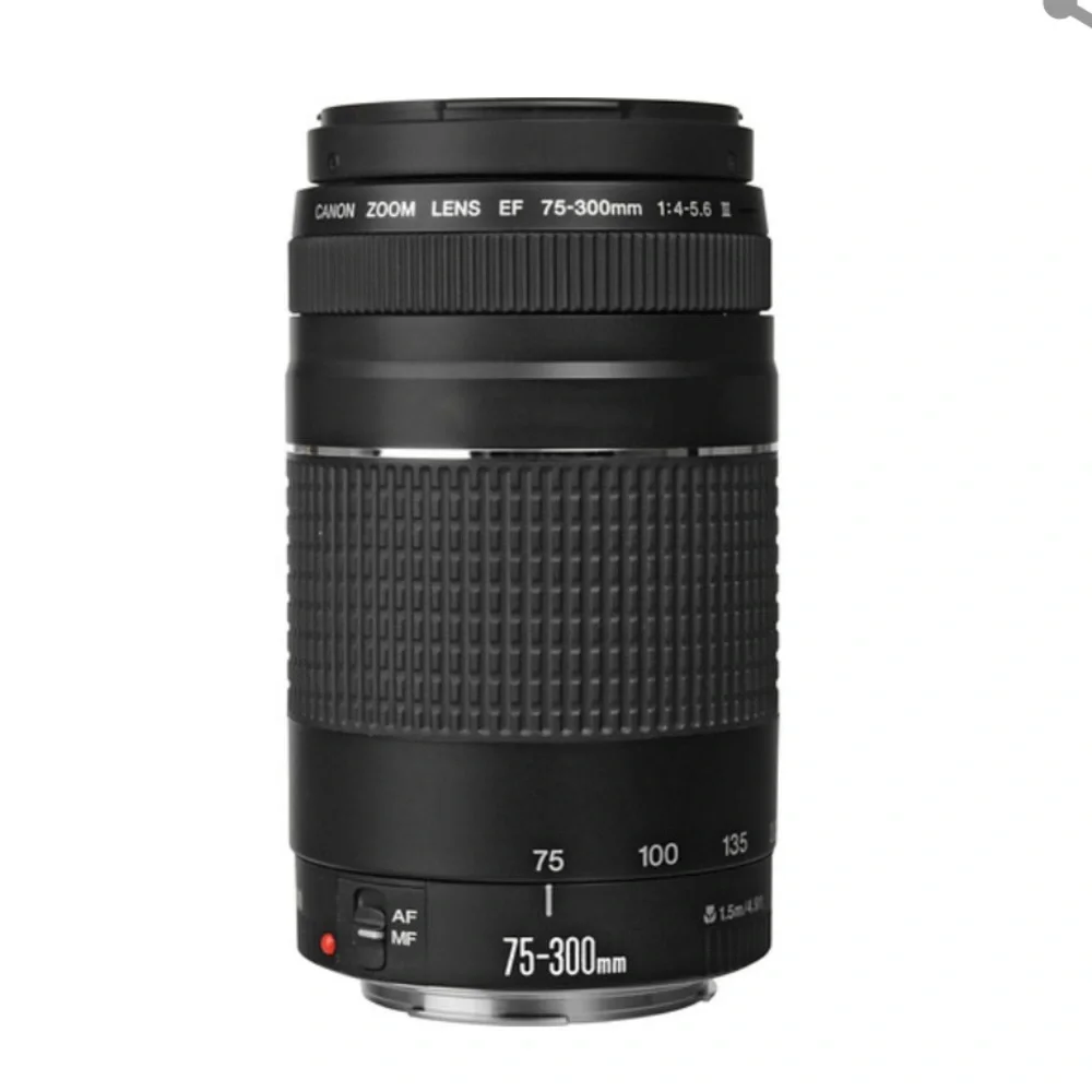 Canon EOS Rebel T6 DSLR Camera